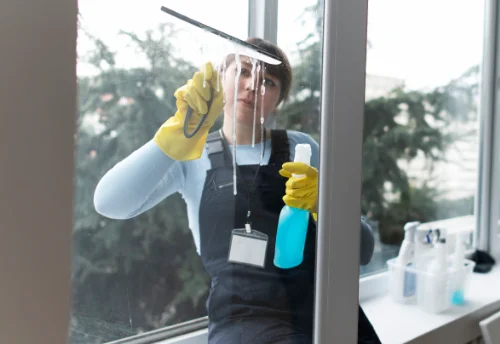 Nettoyage de vitres intérieures et extérieures à Ballaison